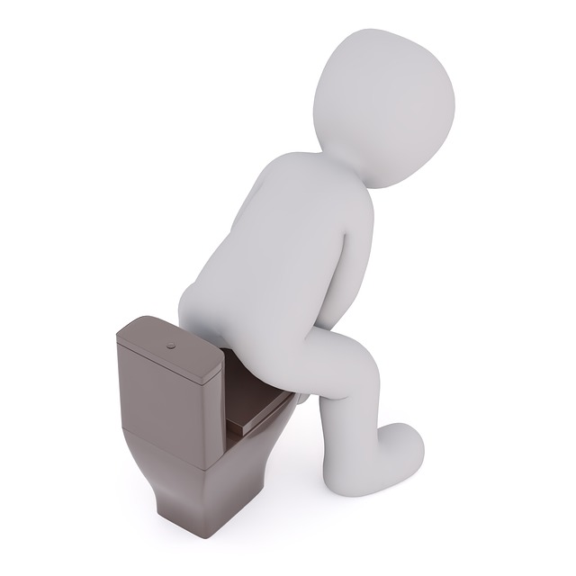 변기에서 똥을 보는 꿈 해몽, 꿈 풀이(+자세한 해석)이미지